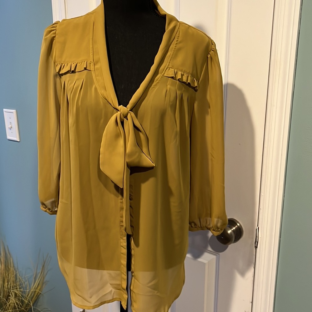 Elle top sheer